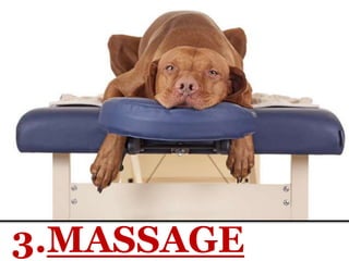 3.MASSAGE
 
