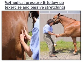 Methodical pressure & follow up
(exercise and passive stretching)
 