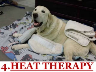 4.HEAT THERAPY
 