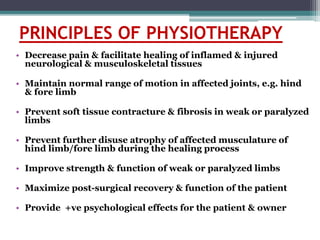 PRINCIPLES OF PHYSIOTHERAPY
• Decrease pain & facilitate healing of inflamed & injured
neurological & musculoskeletal tissues
• Maintain normal range of motion in affected joints, e.g. hind
& fore limb
• Prevent soft tissue contracture & fibrosis in weak or paralyzed
limbs
• Prevent further disuse atrophy of affected musculature of
hind limb/fore limb during the healing process
• Improve strength & function of weak or paralyzed limbs
• Maximize post-surgical recovery & function of the patient
• Provide +ve psychological effects for the patient & owner
 
