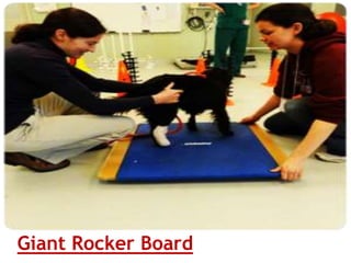 Giant Rocker Board
 