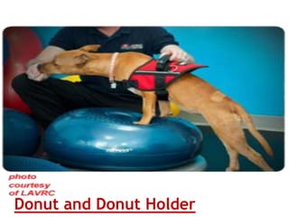 Donut and Donut Holder
 