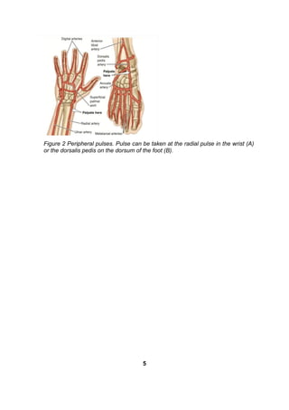 Figure 2 Peripheral pulses. Pulse can be taken at the radial pulse in the wrist (A)
or the dorsalis pedis on the dorsum of the foot (B).
5
 