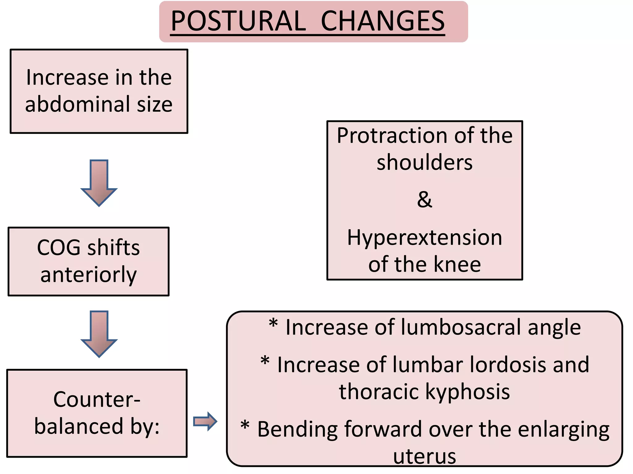 Increased Cogs Physiotherapyinantenatalpostnatalcare 170916144302 | PDF