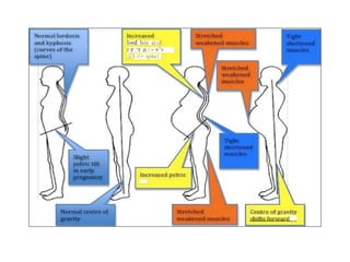 l»rd Isis ai›d
I‘ll’.”F iS ( u w”e
ni t.›L• spine}
 