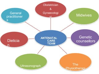 General
practitioner
s
Obstetrician
&
Gynaecologi
st Midwives
Dieticia
n
ANTENATAL
CARE
TEAM
Genetic
counsellors
Ultrasonograph
er
The
Physiotherapi
 