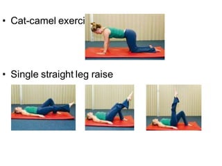 • Cat-camel exercises
• Single straight leg raise
 