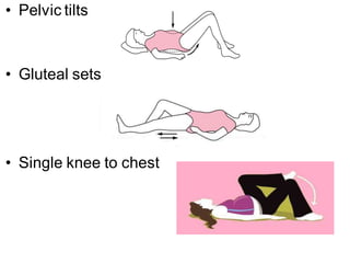 • Pelvic tilts
• Gluteal sets
• Single knee to chest
 