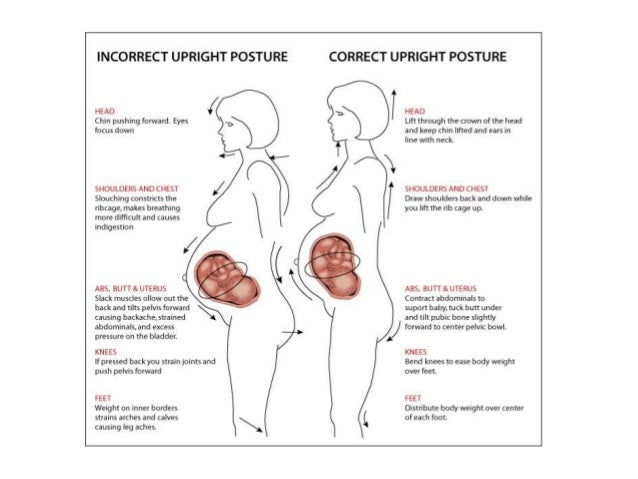 Physiotherapy In Antenatal Post Natal Care