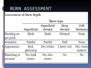 BURN ASSESSMENT 