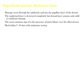 Superficial partial thickness burn
Damage occur through the epidermis and into the papillary layer of the dermis
The epidermal layer is destroyed completely but dermal layer sustains only mild
to moderate damage.
The most common sign of is the presence of intact blister over the affected area
Heal within 7- 10 days with minimum scaring
 