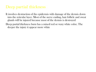 Deep partial thickness
It involves destruction of the epidermis with damage of the dermis down
into the reticular layer. Most of the nerve ending, hair follicle and sweat
glands will be injured because most of the dermis is destroyed
Deep partial thickness burn has a mixed red or waxy white color. The
deeper the injury it appear more white
 