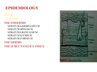 EPIDEMIOLOGY
SKIN :
ANATOMY
THE EPIDERMIS
STRATUM GERMINATIVUM
STRATUM SPINOSUM
STRATUM GRANULOSUM
STRATUM LUCIDUM
STRATUM CORNEUM
THE DERMIS
THE SUBCUTANEOUS TISSUE
 