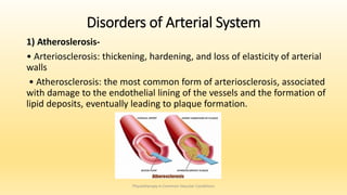 1) Atheroslerosis-
• Arteriosclerosis: thickening, hardening, and loss of elasticity of arterial
walls
• Atherosclerosis: the most common form of arteriosclerosis, associated
with damage to the endothelial lining of the vessels and the formation of
lipid deposits, eventually leading to plaque formation.
Physiotherapy in Common Vascular Conditions
Disorders of Arterial System
 