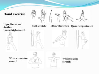 Hand exercise
Hips, Knees and
Ankles
Inner thigh stretch

Wrist extension
stretch

Calf stretch

Elbow stretches Quadriceps stretch

Wrist flexion
stretch

 
