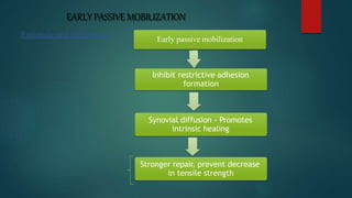 EARLYPASSIVEMOBILIZATION
Rationale and Indications Early passive mobilization
Inhibit restrictive adhesion
formation
Synovial diffusion - Promotes
intrinsic healing
Stronger repair, prevent decrease
in tensile strength
 