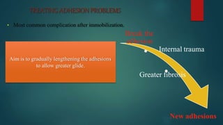 TREATINGADHESIONPROBLEMS
 Most common complication after immobilization.
Break the
adhesion
Internal trauma
Aim is to gradually lengthening the adhesions
to allow greater glide.
Greater fibrosis
New adhesions
 