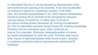 8. Intracellular free Ca2 (1) can be elevated by depolarization of the
cell membrane and opening of Ca2 channels. It can also be elevated
by binding of a ligand to a membrane receptor. In the latter
case, this activates phospholipase C (2), which cleaves phosphatidyl
inositol to produce IP3 (3); IP3 binds to the sarcoplasmic reticulum
causing release of stored Ca2. In either case, Ca2 binds to
the calcium binding protein calmodulin (4), forming Ca-calmodulin
(5). The Ca-calmodulin activates myosin kinase (6), initiating crossbridge
formation and the contraction cycle, which continues as
long as Ca2 is elevated. Otherwise, dephosphorylation of myosin
by myosin phosphatase (7) ends the cycle. The latch state occurs
when myosin is dephosphorylated while bound to actin, resulting
in sustained contraction without requirement for additional ATP
hydrolysis.
 