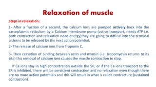 Relaxation of muscle
Steps in relaxation:
1- After a fraction of a second, the calcium ions are pumped actively back into the
sarcoplasmic reticulum by a Calcium membrane pump (active transport, needs ATP i.e.
both contraction and relaxation need energy)they are going to diffuse into the terminal
cisterns to be released by the next action potential.
2- The release of calcium ions from Troponin C,
3- Then cessation of binding between actin and myosin (i.e. tropomyosin returns to its
site) this removal of calcium ions causes the muscle contraction to stop.
If Ca ions stay in high concentration outside the SR, or if the Ca ions transport to the
SR is inhibited, there will be persistent contraction and no relaxation even though there
are no more action potentials and this will result in what is called contracture (sustained
contraction).
 