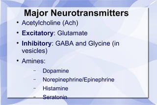 Major Neurotransmitters Acetylcholine (Ach) Excitatory : Glutamate Inhibitory : GABA and Glycine (in vesicles) Amines: Dopamine Norepinephrine/Epinephrine Histamine Seratonin 