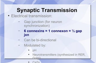 Synaptic Transmission Electrical transmission: Gap junction (for neuron synchronization) 6 connexins = 1 connexon = ½ gap jxn Can be bi-directional Modulated by: pH Neurotransmitters (synthesized in RER, Golgi) Ca2+ 