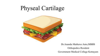 Physeal Cartilage
Dr.Anandu Mathews Anto,MBBS
Orthopedics Resident
Government Medical College Kottayam
 