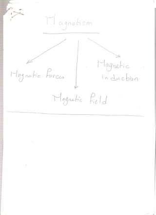 Phys magnetic
