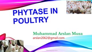 Muhammad Arslan Musa
arslan2062@gmail.com
Muhammad Arslan Musa
 