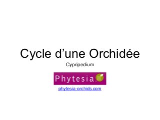 Cycle d’une Orchidée
Cypripedium
phytesia-orchids.com
 