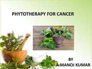 PHYTOTHERAPY FOR CANCER
BY
A.MANOJ KUMAR
 