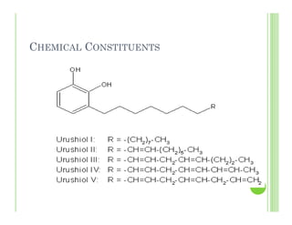 CHEMICAL CONSTITUENTS
 
