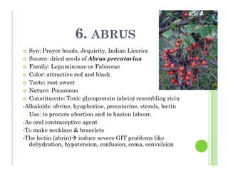 6. ABRUS
Syn: Prayer beads, Jequirity, Indian Licorice
Source: dried seeds of Abrus precatorius
Family: Leguminosae or Fabaceae
Color: attractive red and black
Taste: root-sweet
Nature: Poisonous
Constituents: Toxic glycoprotein (abrin) resembling ricin
-Alkaloids: abrine, hyaphorine, precatorine, sterols, lectin
o Use: to procure abortion and to hasten labour.
-As oral contraceptive agent
-To make necklace & bracelets
-The lectin (abrin) induce severe GIT problems like
dehydration, hypotension, confusion, coma, convulsion
 