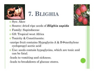 7. BLIGHIA
Syn: Akee
Source: dried ripe seeds of Blighia sapida
Family: Sapindaceae
GS: Tropical west Africa
Toxicity & Constituents:
-unripe fruit contains Hypoglycin-A & B methylene
cyclopropyl acetic acid
Use: seeds contain hypoglycins, which are toxic and
can be fatal.
-leads to vomiting and sickness.
-leads to breakdown of glucose stores.
 