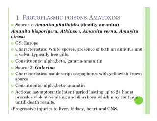 1. PROTOPLASMIC POISONS-AMATOXINS
Source 1: Amanita phalloides (deadly amanita)
Amanita bisporigera, Atkinson, Amanita verna, Amanita
virosa
GS: Europe
Characteristics: White spores, presence of both an annulus and
a volva, typically free gills.
Constituents: alpha,beta, gamma-amanitin
Source 2: Galerina
Characteristics: nondescript carpophores with yellowish brown
spores
Constituents: alpha,beta-amanitin
Actions: asymptomatic latent period lasting up to 24 hours
precedes violent vomiting and diarrhoea which may continue
untill death results.
-Progressive injuries to liver, kidney, heart and CNS.
 