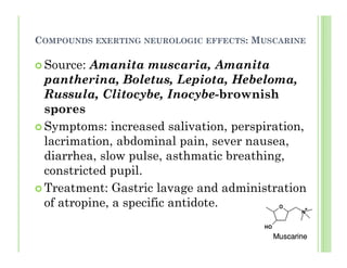 COMPOUNDS EXERTING NEUROLOGIC EFFECTS: MUSCARINE
Source: Amanita muscaria, Amanita
pantherina, Boletus, Lepiota, Hebeloma,
Russula, Clitocybe, Inocybe-brownish
spores
Symptoms: increased salivation, perspiration,
lacrimation, abdominal pain, sever nausea,
diarrhea, slow pulse, asthmatic breathing,
constricted pupil.
Treatment: Gastric lavage and administration
of atropine, a specific antidote.
 