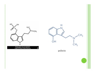 psilocin
 