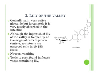 3. LILY OF THE VALLEY
Convallatoxin: very active
glycoside but fortunately it is
very poorly absorbed in the
intestine
Although the ingestion of lily
of the valley is frequently at
the origin of calls to poison
centers, symptoms are
observed only in 10-15%
cases.
Nausea, vomiting
Toxicity even found in flower
vases containing lily.
 