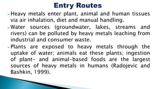 Heavy metals enter plant, animal and human tissues
via air inhalation, diet and manual handling.
Water sources (groundwater, lakes, streams and
rivers) can be polluted by heavy metals leaching from
industrial and consumer waste.
Plants are exposed to heavy metals through the
uptake of water; animals eat these plants; ingestion
of plant- and animal-based foods are the largest
sources of heavy metals in humans (Radojevic and
Bashkin, 1999).
 