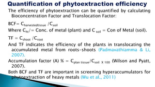 The efficiency of phytoextraction can be quantified by calculating
Bioconcentration Factor and Translocation Factor:
BCF= Charvestedtissue /Csoil
Where Cht/= Conc. of metal (plant) and C soil = Con of Metal (soil).
TF = Cshoot /Croot
And TF indicates the efficiency of the plants in translocating the
accumulated metal from roots-shoots (Padmavathiamma & Li,
2007).
Accumulation factor (A) % = Cplan tissue/Csoil X 100 (Wilson and Pyatt,
2007).
Both BCF and TF are important in screening hyperaccumulators for
phytoextraction of heavy metals (Wu et al., 2011)
 