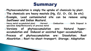  Phytoaccumulation is simply the uptake of chemicals by plant.
 The chemicals are heavy meatals (Hg, CU, Cr, Cd, Se etc)
 Example, Lead contaminated site can be remove using
Sunflower and Indian Mustard.
 Heavy metal accumulated plant Harvest Combustion Safe Disposal in
specialise dump/Biorecovery of precious metal
 Versions of phytoaccumulation are: Natural hyper-
accumulation and Induced or assisted hyper-accumulation.
 Process of phytoaccumulation are: Dissolution; Root
Absorbtion ; Root-to-shoot-transport; Storage; Adaptation
 