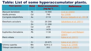 Plant species Metal Metal accumulation
(mg kg−1)
Reference
Alyssum bertolonii Ni 10 900 Li et al. (2003)
Azolla pinnata Cd 740 Rai (2008)
Corrigiola telephiifolia As 2110 (Garcia-Salgado et al., 2012)
Eleocharis acicularis Cu 20 200 Sakakibara et al. (2011)
Zn 11 200
Cd 239
As 1470
Euphorbia cheiradenia Pb 1138 Chehregani and Malayeri
(2007)
Pteris vittata As 8331 Kalve et al. (2011)
Cr 20 675 Kalve et al. (2011)
Schima superba Mn 62412.3 Yang et al. (2008)
Thlaspi caerulescens Cd 263 Lombi et al. (2001)
 