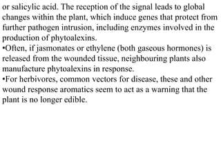 or salicylic acid. The reception of the signal leads to global
changes within the plant, which induce genes that protect from
further pathogen intrusion, including enzymes involved in the
production of phytoalexins.
•Often, if jasmonates or ethylene (both gaseous hormones) is
released from the wounded tissue, neighbouring plants also
manufacture phytoalexins in response.
•For herbivores, common vectors for disease, these and other
wound response aromatics seem to act as a warning that the
plant is no longer edible.
 