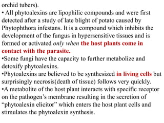 orchid tubers).
• All phytoalexins are lipophilic compounds and were first
detected after a study of late blight of potato caused by
Phytophthora infestans. It is a compound which inhibits the
development of the fungus in hypersensitive tissues and is
formed or activated only when the host plants come in
contact with the parasite.
•Some fungi have the capacity to further metabolize and
detoxify phytoalexins.
•Phytoalexins are believed to be synthesized in living cells but
surprisingly necrosis(death of tissue) follows very quickly.
•A metabolite of the host plant interacts with specific receptor
on the pathogen’s membrane resulting in the secretion of
“phytoalexin elicitor” which enters the host plant cells and
stimulates the phytoalexin synthesis.
 