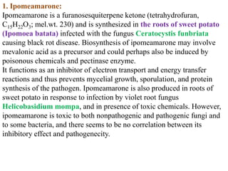 1. Ipomeamarone:
Ipomeamarone is a furanosesquiterpene ketone (tetrahydrofuran,
C15H22O3; mel.wt. 230) and is synthesized in the roots of sweet potato
(Ipomoea batata) infected with the fungus Ceratocystis funbriata
causing black rot disease. Biosynthesis of ipomeamarone may involve
mevalonic acid as a precursor and could perhaps also be induced by
poisonous chemicals and pectinase enzyme.
It functions as an inhibitor of electron transport and energy transfer
reactions and thus prevents mycelial growth, sporulation, and protein
synthesis of the pathogen. Ipomeamarone is also produced in roots of
sweet potato in response to infection by violet root fungus
Helicobasidium mompa, and in presence of toxic chemicals. However,
ipomeamarone is toxic to both nonpathogenic and pathogenic fungi and
to some bacteria, and there seems to be no correlation between its
inhibitory effect and pathogenecity.
 