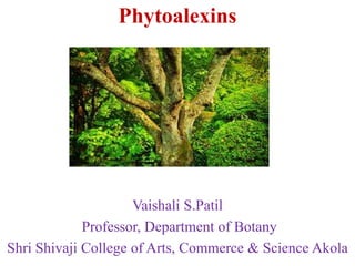 Phytoalexins
Vaishali S.Patil
Professor, Department of Botany
Shri Shivaji College of Arts, Commerce & Science Akola
 
