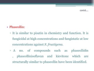 contd….




• Phaseollin:
  ▫ It is similar to pisatin in chemistry and function. It is
    fungicidal at high concentrations and fungistatic at low
    concentrations against S. fructigena.
  ▫ A    no.    of   compounds      such    as   phaseollidin
    ,   phaseollinisoflavan   and    kievitone   which   are
    structurally similar to phaseollin have been identified.
 