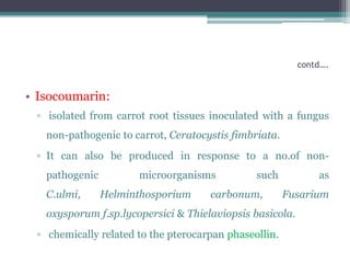 contd….


• Isocoumarin:
 ▫ isolated from carrot root tissues inoculated with a fungus
   non-pathogenic to carrot, Ceratocystis fimbriata.
 ▫ It can also be produced in response to a no.of non-
   pathogenic         microorganisms           such           as
   C.ulmi,      Helminthosporium     carbonum,         Fusarium
   oxysporum f.sp.lycopersici & Thielaviopsis basicola.
 ▫ chemically related to the pterocarpan phaseollin.
 