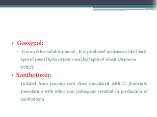 • Gossypol:
 ▫ It is an ether soluble phenol . It is produced in diseases like black
   spot of rose (Diplocarpon rosa),leaf spot of wheat (Septoria
   tritici).
• Xanthotoxin:
 ▫ Isolated from parsnip root discs inoculated with C. fimbriata
   Inoculation with other non pathogens resulted in production of
   xanthotoxin
 