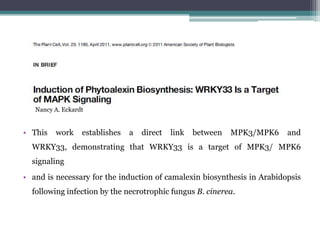 Nancy A. Eckardt


• This   work     establishes   a   direct   link   between   MPK3/MPK6   and
  WRKY33, demonstrating that WRKY33 is a target of MPK3/ MPK6
  signaling
• and is necessary for the induction of camalexin biosynthesis in Arabidopsis
  following infection by the necrotrophic fungus B. cinerea.
 