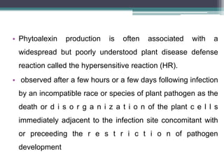 • Phytoalexin   production   is   often   associated   with   a
 widespread but poorly understood plant disease defense
 reaction called the hypersensitive reaction (HR).
• observed after a few hours or a few days following infection
 by an incompatible race or species of plant pathogen as the
 death or d i s o r g a n i z a t i o n of the plant c e l l s
 immediately adjacent to the infection site concomitant with
 or preceeding the r e s t r i c t i o n of pathogen
 development
 